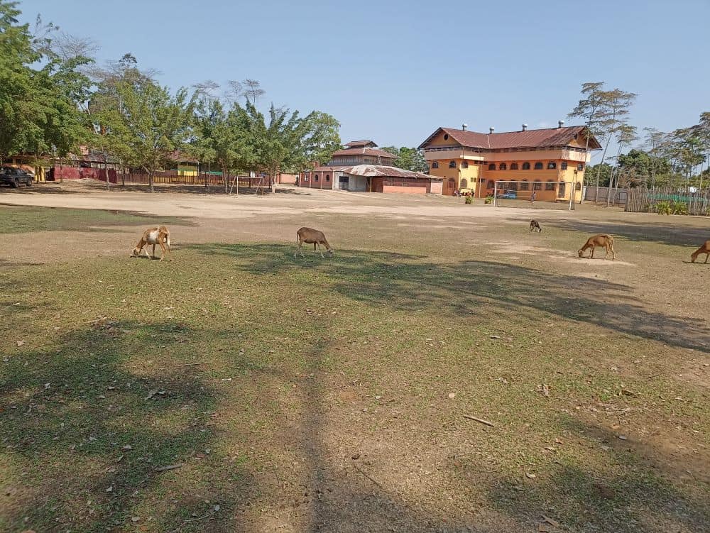 Misijon Don Bosco Pucallpa